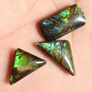 Canadian Ammolite Natural Ammolite AAA+ Quality Gemstone Unique Cabochon 100% Natural Gemstone Cabochon For Jewelry Making Wholesale Lot
