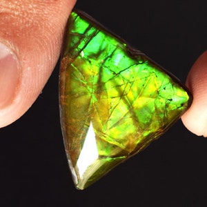 Fire Ammolite Cabochon, Natural Ammolite Loose Gemstone, Iridescent Ammolite for Jewelry Making, Rare Rainbow Gemstone for Wire Wrap Pendant