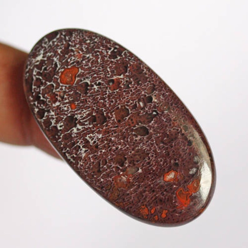 Fabulous Red Dinosaur Bone Oval Cabochon From Utah Jewelry Making Gemstone AG-5652 Fossilized Bone Supplier Hand Cut Petrified Dino Bone