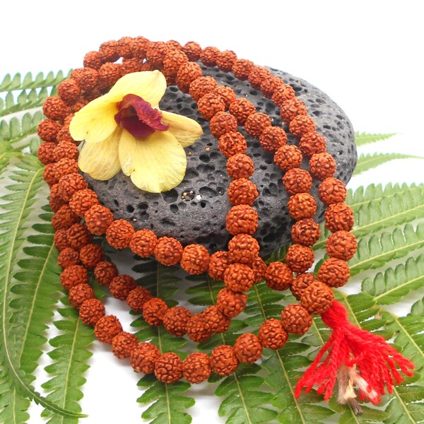 Rudraksha Beads / 8mm / Rudraksha Mala / Prayer Beads / Rudraksha Seeds / Buddhist Beads / Long Bead Necklace / Yoga Jewelry