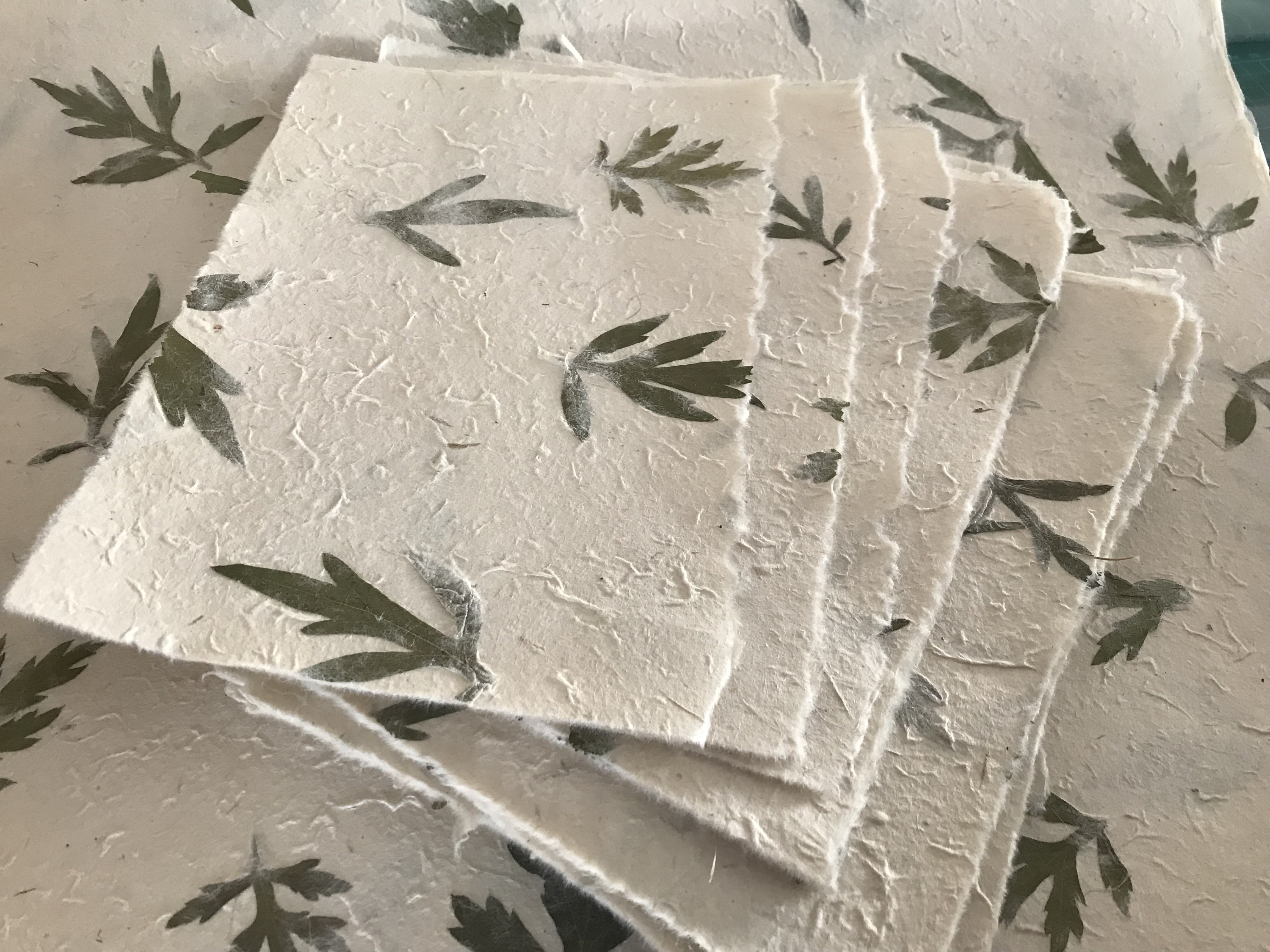 Petal Cornflower / Marigold Mix Handmade Paper A4 Pack of 20 Sheets/ Nepal Handmade  Paper 