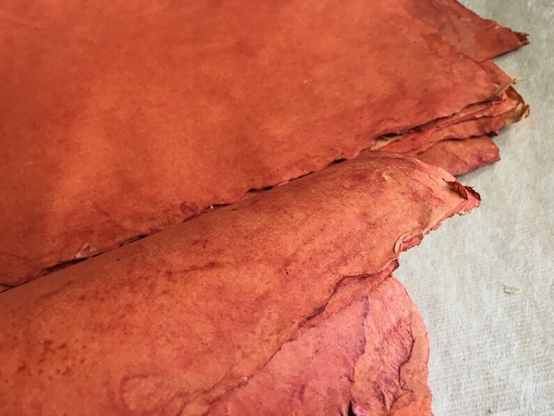 Rust Burnt Orange Handmade Paper 100gsm Artists Paper 6 Small Pomegranate Indian Sunn Hemp Approx 16 X 23 Cm 6 25 X 8 5 Inches Calligraphy Craft Supplies Tools Themedicalgood Com Rust Burnt Orange Handmade Paper 100gsm Artists Paper 6 Small Pomegranate Indian Sunn Hemp Approx 16 X 23 Cm 6 25 X 8 5 Inches Calligraphy Craft Supplies Tools Themedicalgood Com