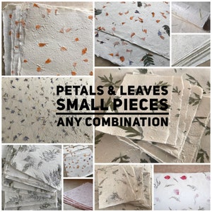 Pezzi piccoli di carta con petali e/o foglie, carta con petali dell’Himalaya, carta con foglie Lokta, confezione mista