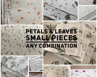 Small pieces Petal &/or Leaf paper, Himalayan Petal paper, Lokta Leaf Paper mixed pack