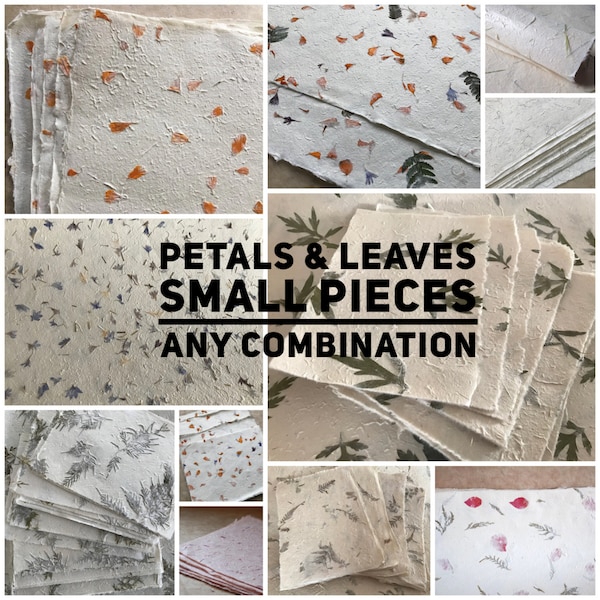 Small pieces Petal &/or Leaf paper, Himalayan Petal paper, Lokta Leaf Paper mixed pack