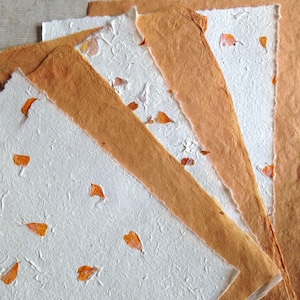 Zafferano e Asara 7 x 9,5 pollici, carte himalayane, carte di petali di fiori d'arancio bruciati, carta nepalese giallo zafferano, pacchetto campione, carte miste