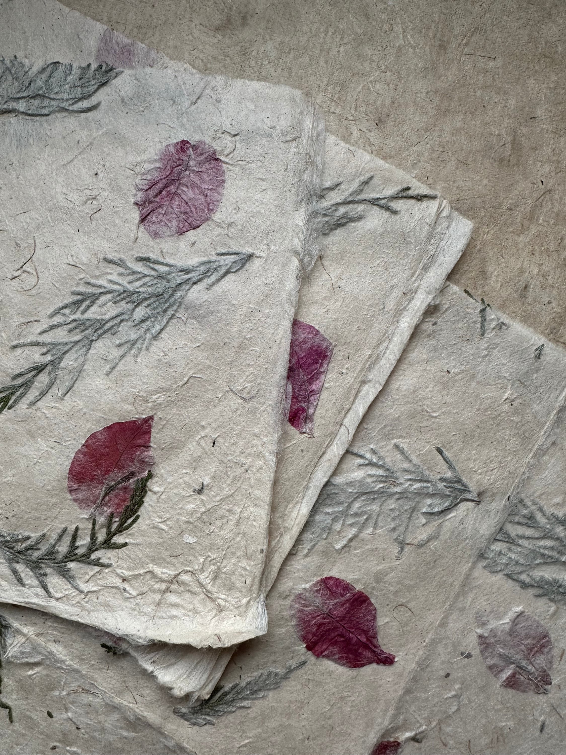 Carta Velina Ciclamino 50x75cm - Per 240 Fogli - Foto 6