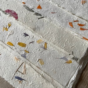 Full/Half sheets mixed petals No2, 20 x 30 inches, Himalayan papers, textured paper, Indian handmade paper with various flower petals