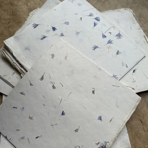 Cornflower petal pages, bulk pack 100 sheets, not quite square  7-8 inches Smooth petal paper, Book-making supplies, pre-cut pages