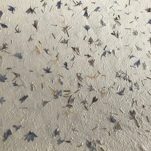 Small Cornflower Himalayan Petal Paper, 7.5 X 9.5 Inches, Flower Paper ...