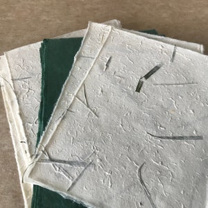 Piccoli pezzi di carta Forest e Karuki, carta Himalayan, carta Forest Nepalese, confezione campione, carte miste per artigianato