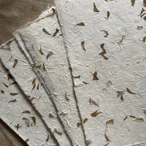 Petals Full/ half sheets orangey brown flower petals, 20 x 30 inches, Indian Himalayan handmade paper, cream petal paper