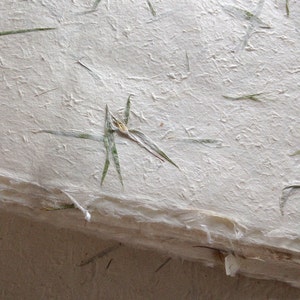 10 pieces 7.5 x 9.5 inches Karuki Grass paper, petal paper, Indian handmade paper,green grass strands, himalayan paper