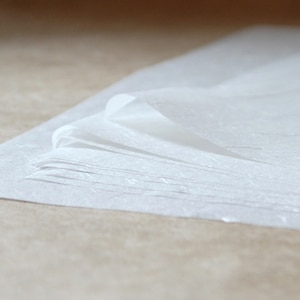 Filmoplast Self-adhesive Paper Repair Tape 20mm X 5 Metres Choose