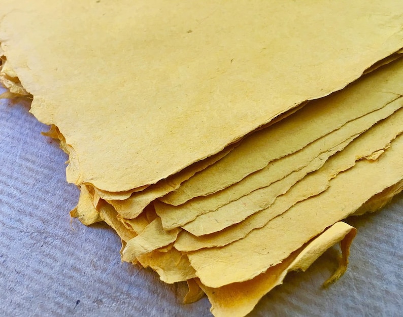 100 Gsm Artists Paper Natural Dye 6 Small Haldi Root Indian Sunn Hemp Yellow Handmade Paper Approx 16 X 23 Cm 6 25 X 8 5 Inches Visual Arts Calligraphy Vadel Com 100 Gsm Artists Paper Natural Dye 6 Small Haldi Root Indian Sunn Hemp Yellow Handmade Paper Approx 16 X 23 Cm 6 25 X 8 5 Inches Visual Arts Calligraphy Vadel Com