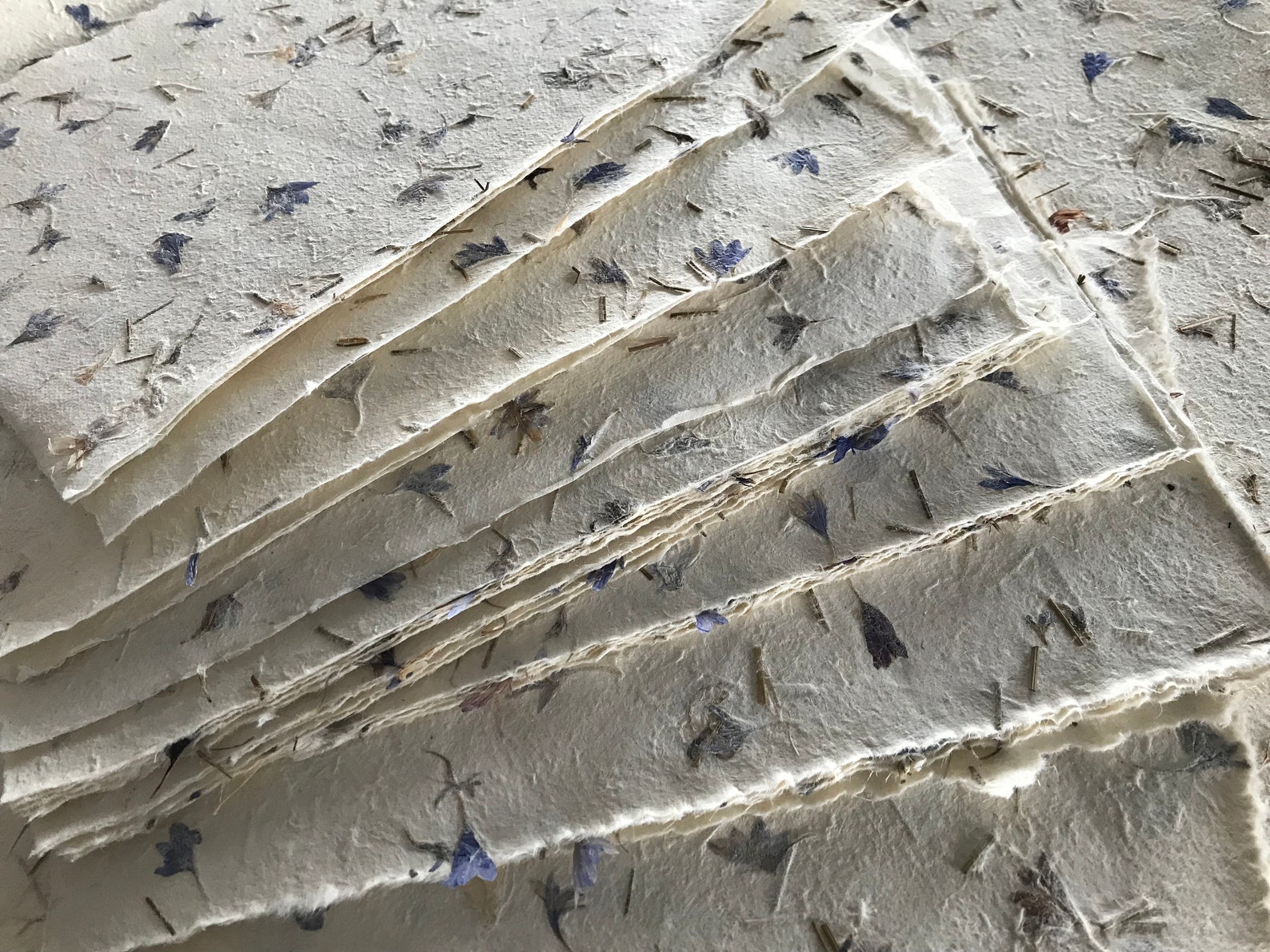 Small Cornflower Himalayan Petal Paper 7.5 X 9.5 Inches - Etsy