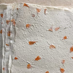 Asara half/Full sheets Flower paper,  20 x 30 inches, petal paper, Indian Himalayan handmade paper, orange flower petals,