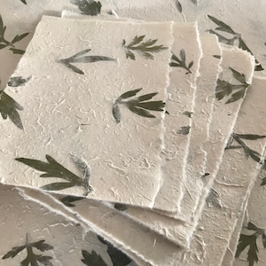 Piccoli pezzi di carta foglia Tite Pati x 10, foglie verdi dell'Himalaya in Lokta naturale, 7,5 x 9,5 pollici, carta indiana fatta a mano