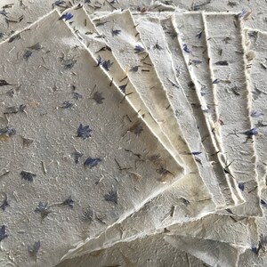 Small Cornflower Himalayan Petal Paper, 7.5 X 9.5 Inches, Flower Paper ...