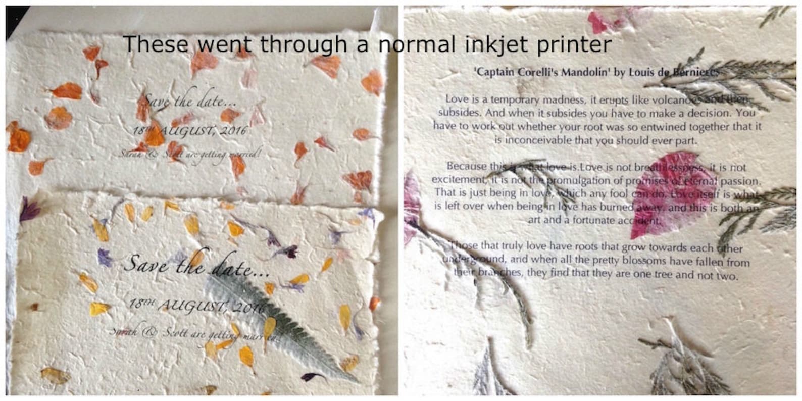 Small Cornflower Himalayan Petal Paper 7.5 X 9.5 Inches - Etsy