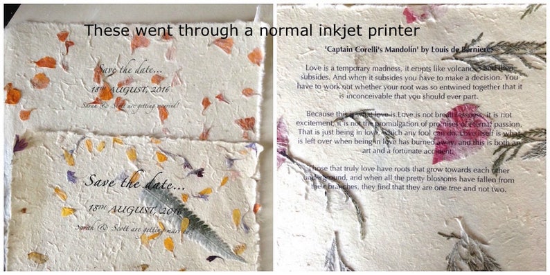 Small Cornflower Himalayan Petal Paper 7.5 X 9.5 Inches - Etsy