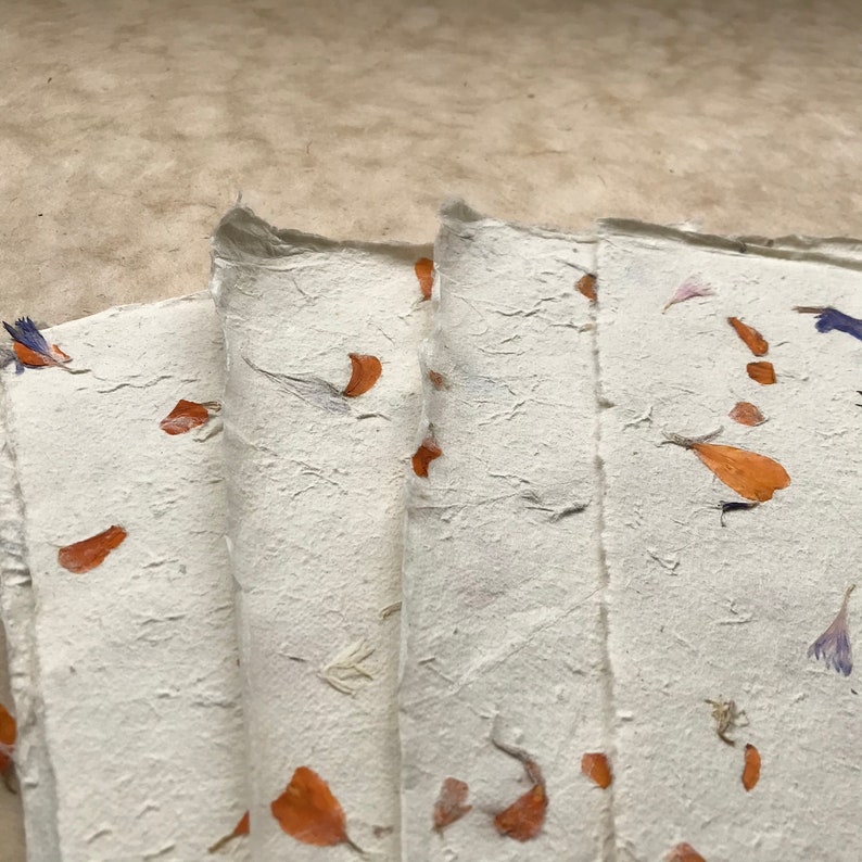 Marigold Full/half sheets Flower paper, 20 x 30 inches, 50gsm petal paper, Indian Himalayan handmade paper, orange petal paper image 3