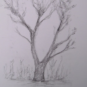 Simple arbre, Monotype original sur papier, croquis d’arbre en automne, noir et blanc ligne gravure monochrome, dessin Art Elephant