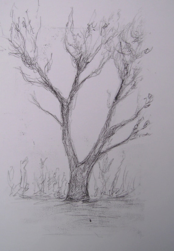 Simple Tree Original Monoprint On Paper Tree Sketch In Autumn Black And White Line Drawing Monochrome Printmaking By Art Elephant