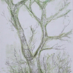 Windswept Tree, monoprint on paper, neutral green and grey tree, subtle original, sketch drawing, handmade printmaking UK by Art Elephant