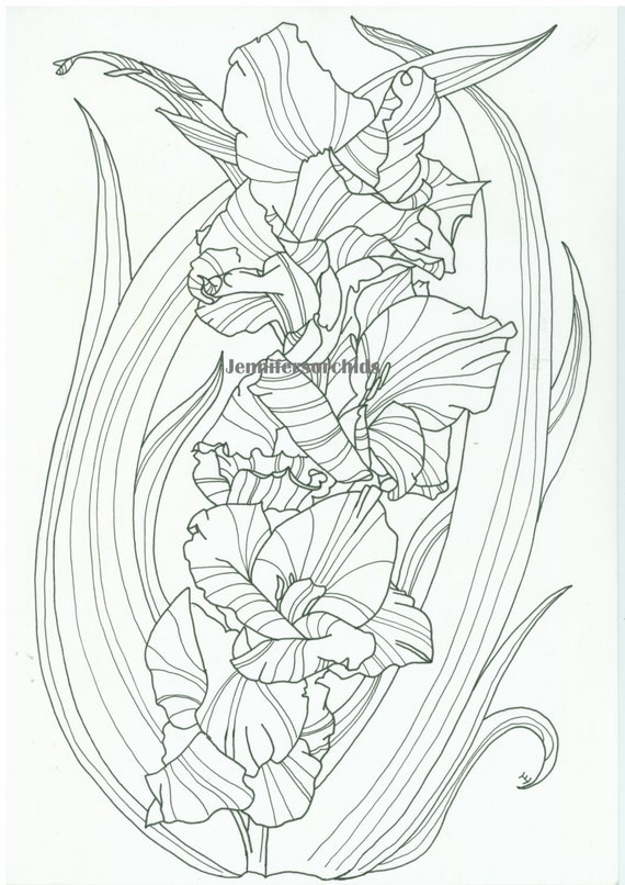 Coloring page G of gladiolus flower direct download Etsy
