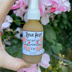 Rose Heart — Plant Spirit Spray — 2 oz — Rose Fragrance. Rose Flower Essence. Rose Quartz Essence. Rose Tincture. Plant Magic.