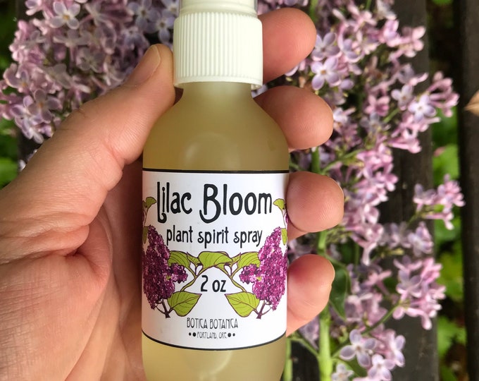 Featured listing image: Lilac Bloom — Plant Spirit Spray — 2 oz — Lilac Fragrance. Lilac Flower Essence. Lilac Tincture. Plant Magic.