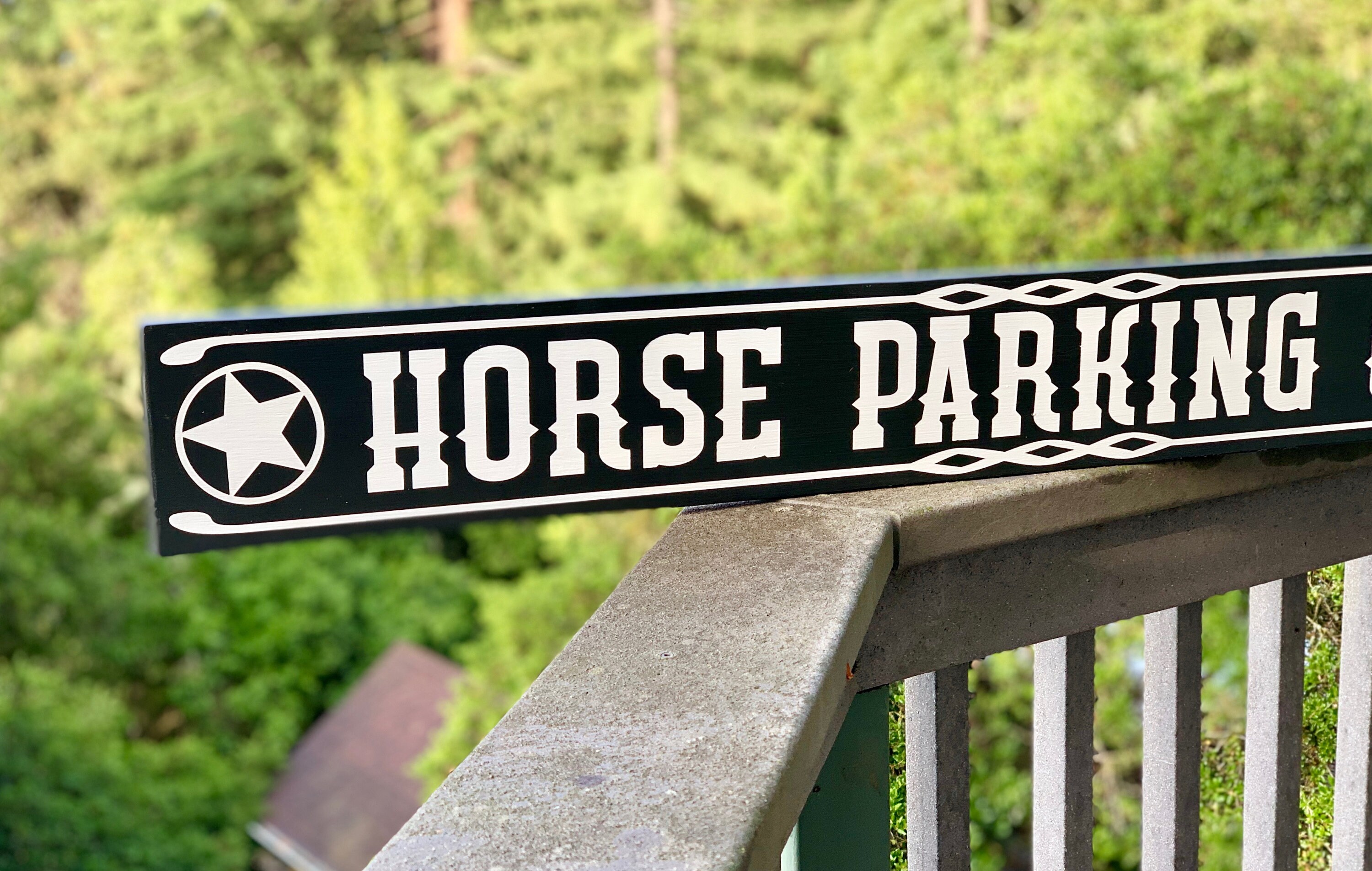Horse Parking Only Horse Signs for Stall Pony Parking Sign Etsy