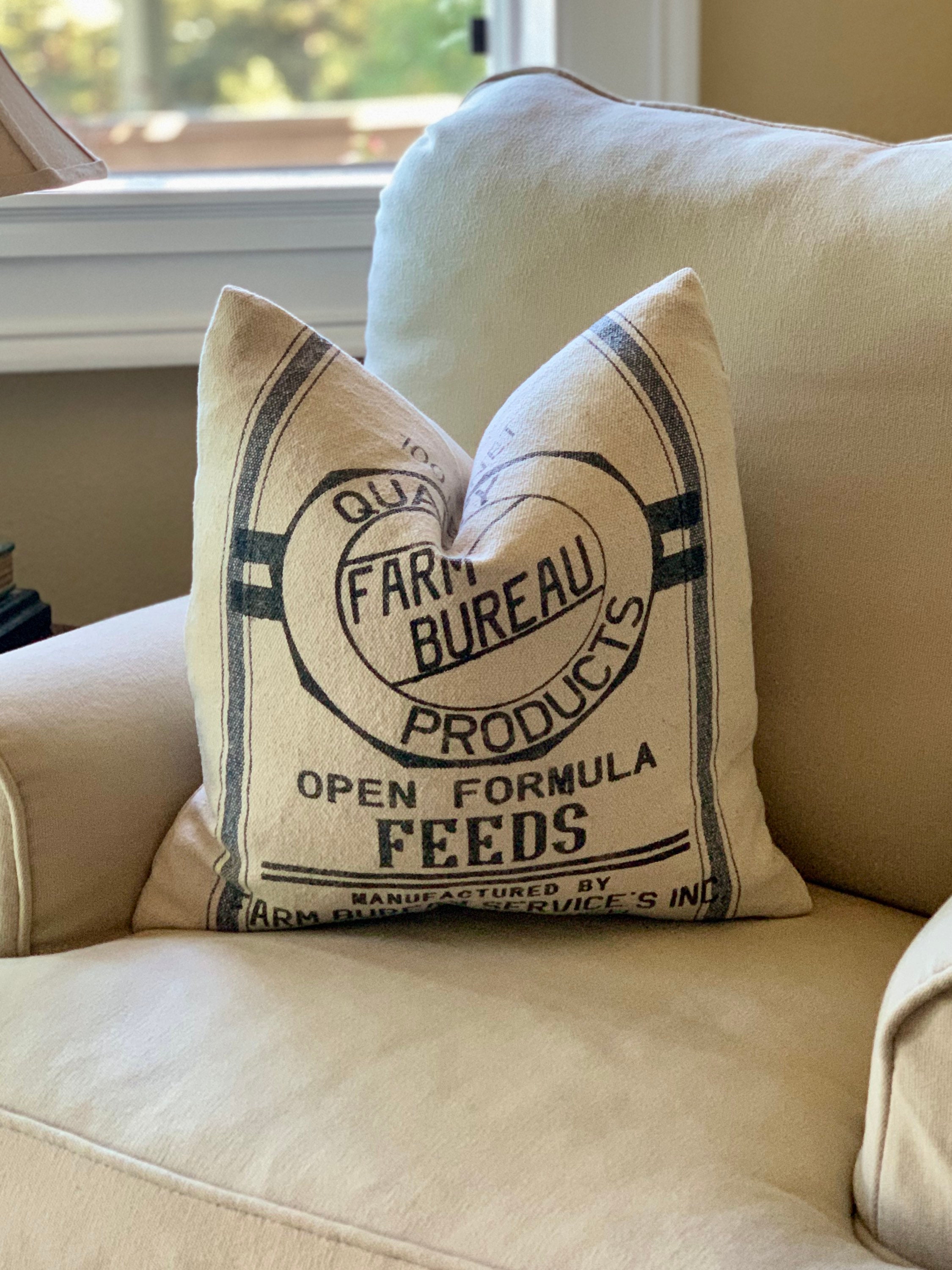 Arm and hammer pillow cheap