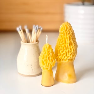 Beeswax Candle | Morel Mushroom Beeswax Candle | Just Beeswax and a Cotton Wick | Handmade by Rivers and Roads