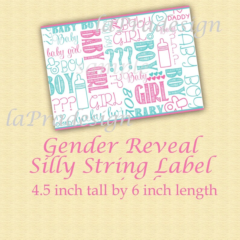 Gender Reveal Silly String / 2 Sizes Available to Immediate - Etsy
