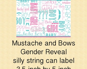 Gender Reveal Silly String - Etsy