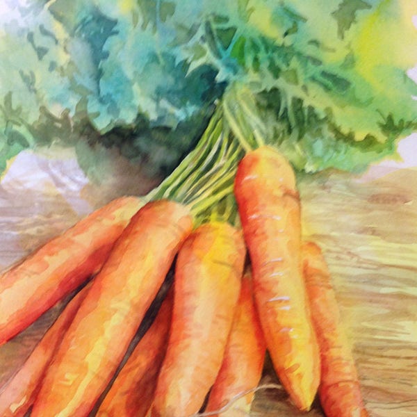 Original Watercolor Painting Carrots, Orange Vegetables