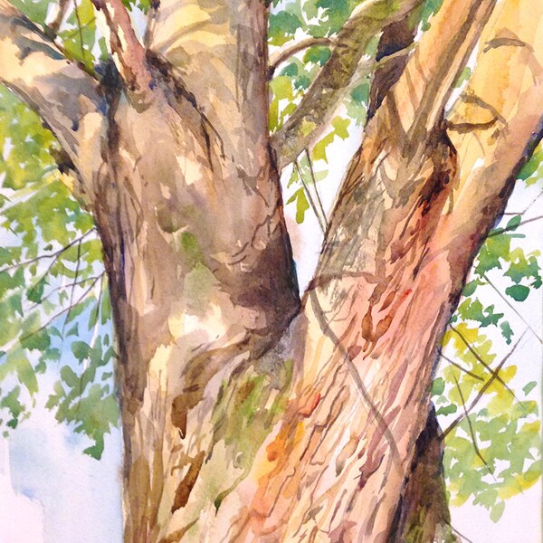 Original Watercolor - Painting Backyard Oak Tree