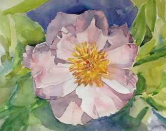 Peony Flower Original Watercolor Painting