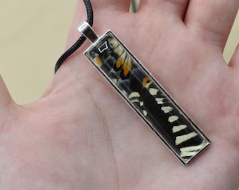Real Butterfly Necklace, Asian Swallowtail, Pendant Necklace