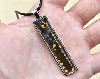 Real Butterfly Necklace, Spicebush Swallowtail, Pendant Necklace