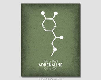 Adrenaline Molecule, Minimalist Wall Art, Chemistry Nerd Print, Science Geek Art