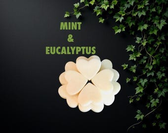 MINT & EUCALYPTUS Natural Soy Wax Melts - Strong Scented Room Fragrance - Aromatherapy Essential Oils - Eco Packaging - Great For Head Colds