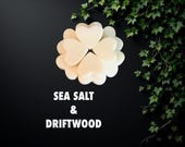 SEA SALT & DRIFTWOOD Soy Wax Melts