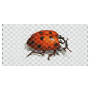 May include: A pixelated illustration of a ladybug. The ladybug has a red and orange body with black spots. The insect's legs and antennae are visible, and it casts a shadow on the white background.