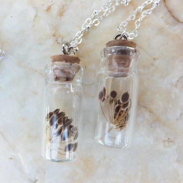 Terrarium Bottle Dill Seeds Necklace, Druid Necklace, Gardener Seed Bottle, Gardener Gift, Horticulture Gift Necklace, Naturalist Necklace