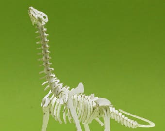 Brontosaurus Mini Skeleton Bones