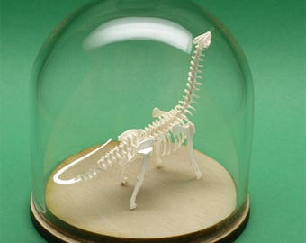 Brontosaurus Miniature Skeleton Deluxe Kit