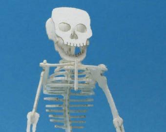 May include: A white papercraft skeleton model standing on a blue background. The skeleton is posed with its arms slightly raised and its legs spread apart.